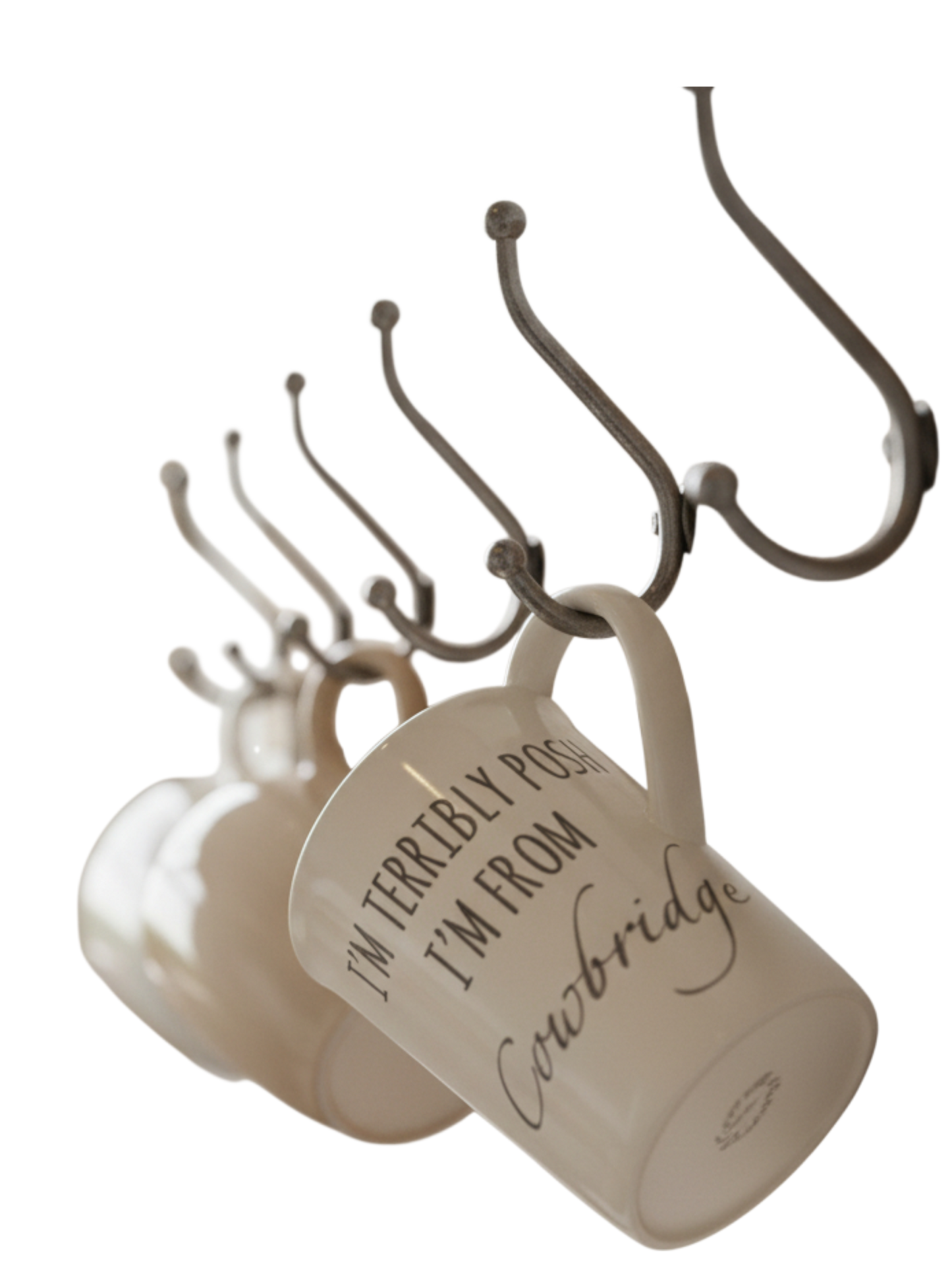 Bone China Mug, 'I'm terribly posh i'm from Cowbridge'!