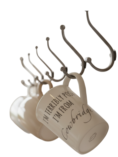 Bone China Mug,  'I'm terribly posh i'm from Cowbridge'!